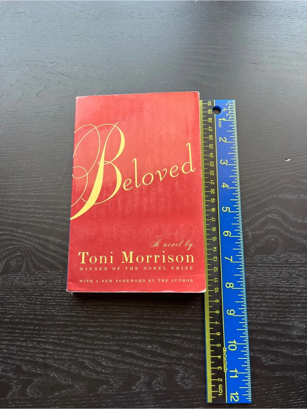 Vintage International Beloved Toni Morrison Paperback Red Book Approx 8 Inch